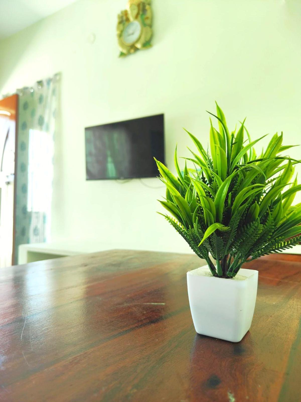 Shivam Eden Beach Homestay بونديتْشيري المظهر الخارجي الصورة